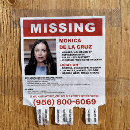Congress: Missing Person Rep Monica De La Cruz (TX-15)