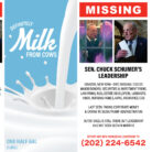 MissingMilk-Schumer-Detail1