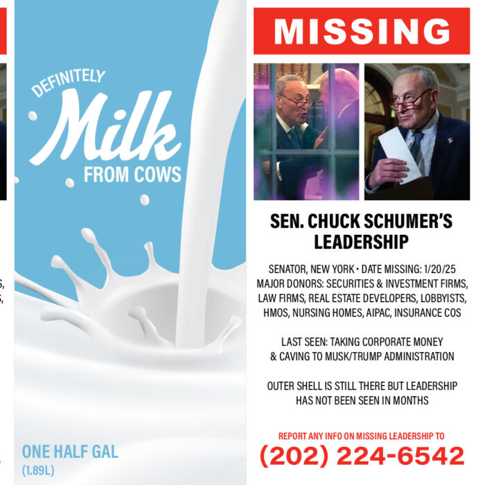 MissingMilk-Schumer-Detail1